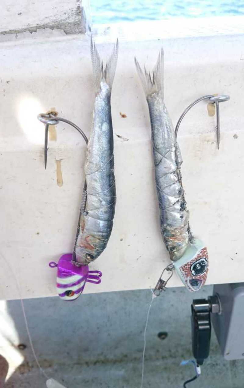 船タチウオテンヤ☆