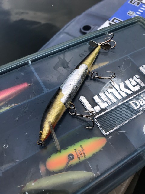 布目ダムのバス