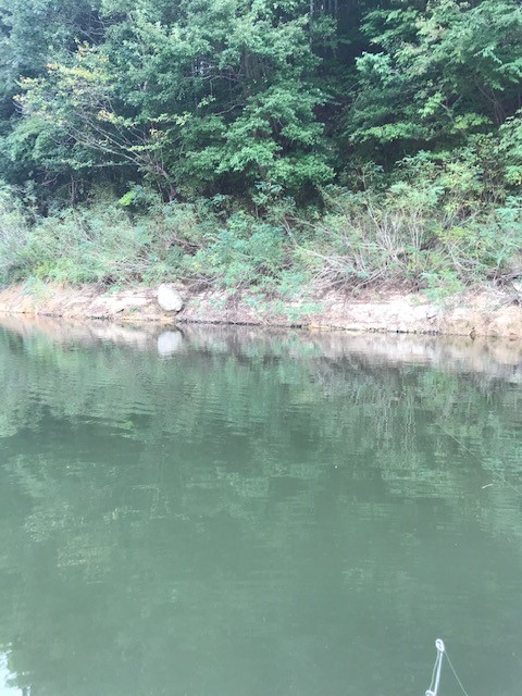 布目ダムのバス