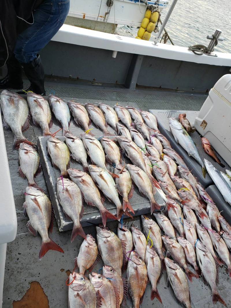 秋の明石タイラバ!