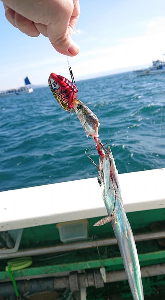 寒くなったが釣果は熱い!?船タチウオテンヤ