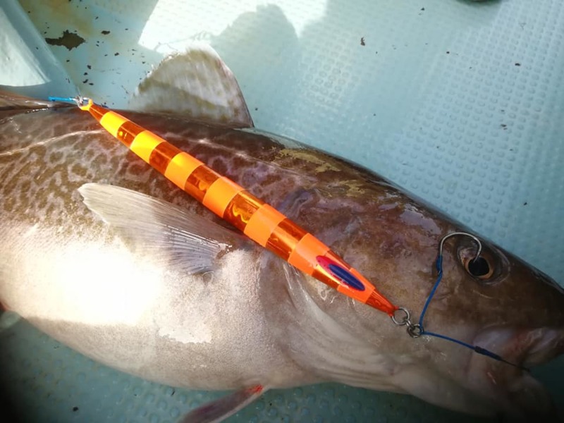 日本海ジギング