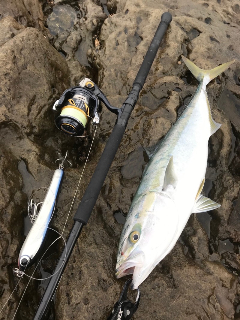 対馬ロックショア