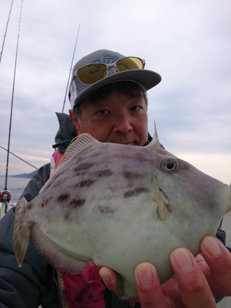 キモパンカワハギを求めて!