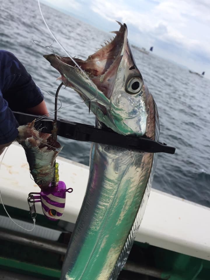 タチウオテンヤ釣行