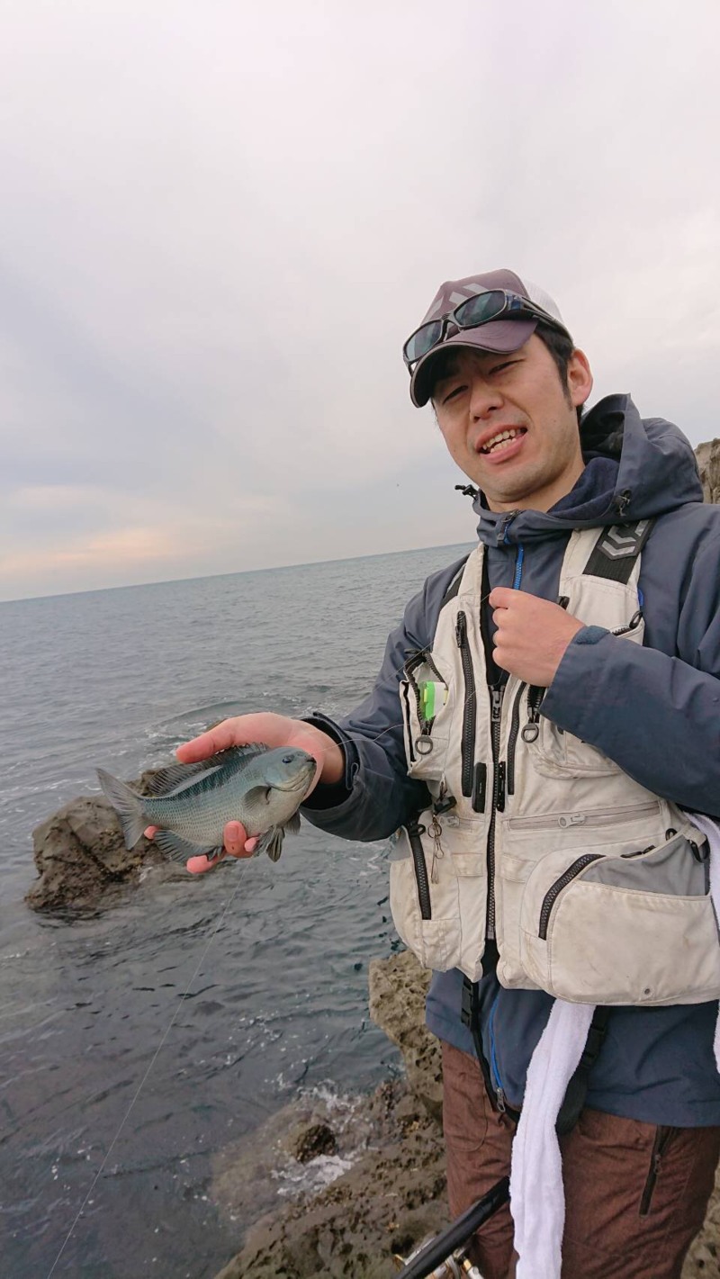 和歌山 磯ふかせ釣行