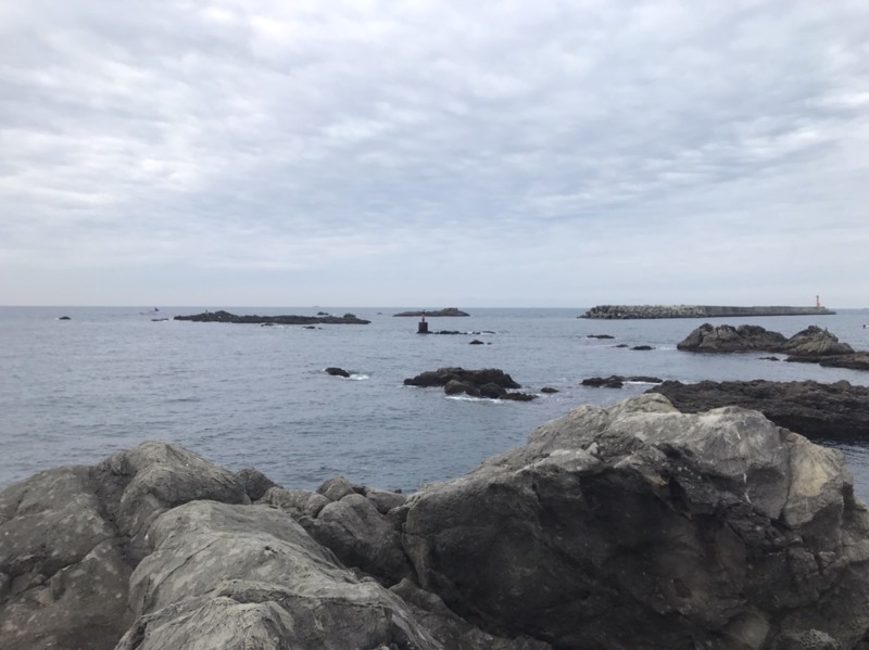 和歌山 磯ふかせ釣行