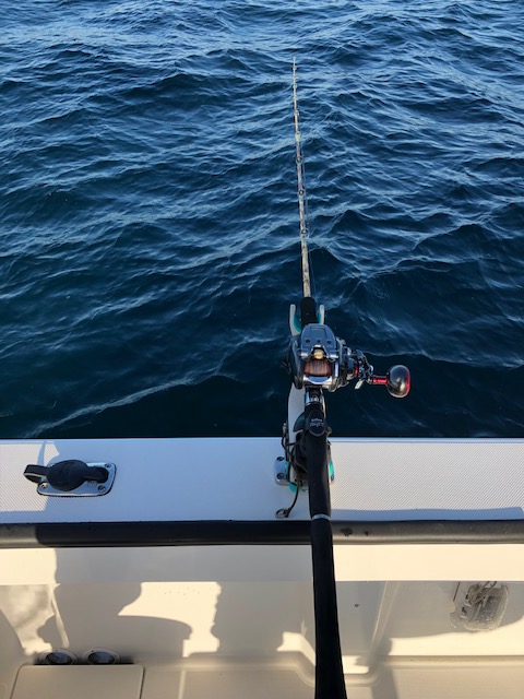 加太にて高仕掛け