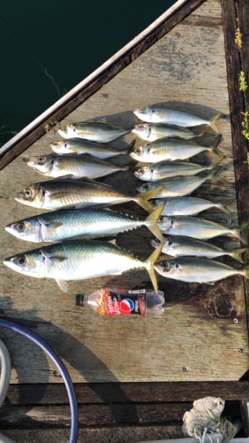 加太にて高仕掛け