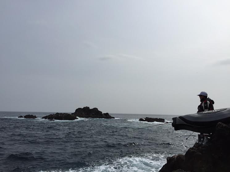 三重県贄浦|磯釣り・グレ8枚釣果