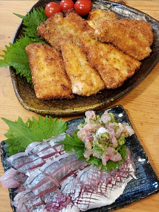 ファミリーも楽しい船釣り