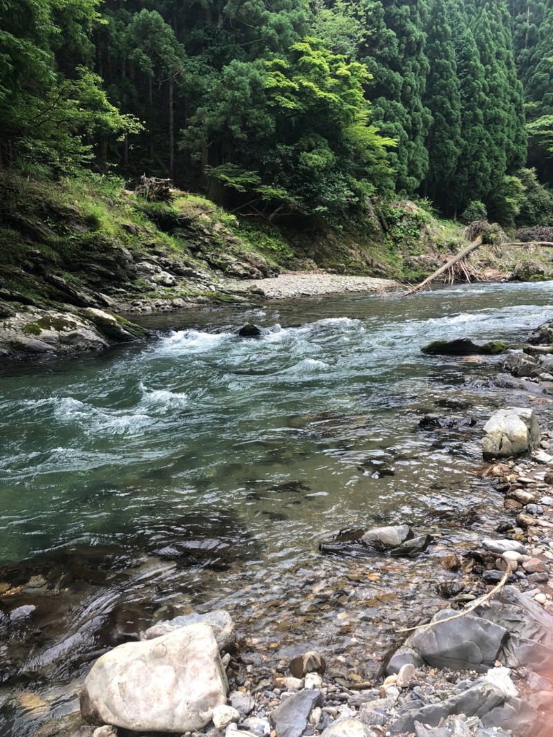 友釣りデビューお手伝い!