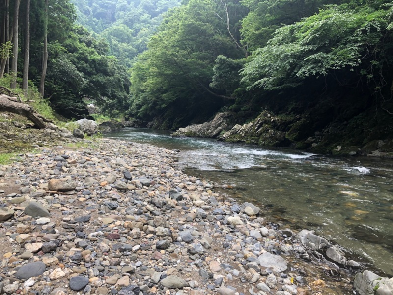 友釣りデビューお手伝い!