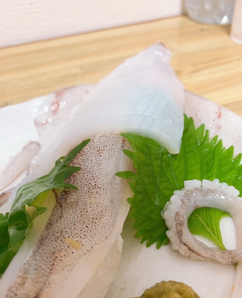 イカメタル釣行