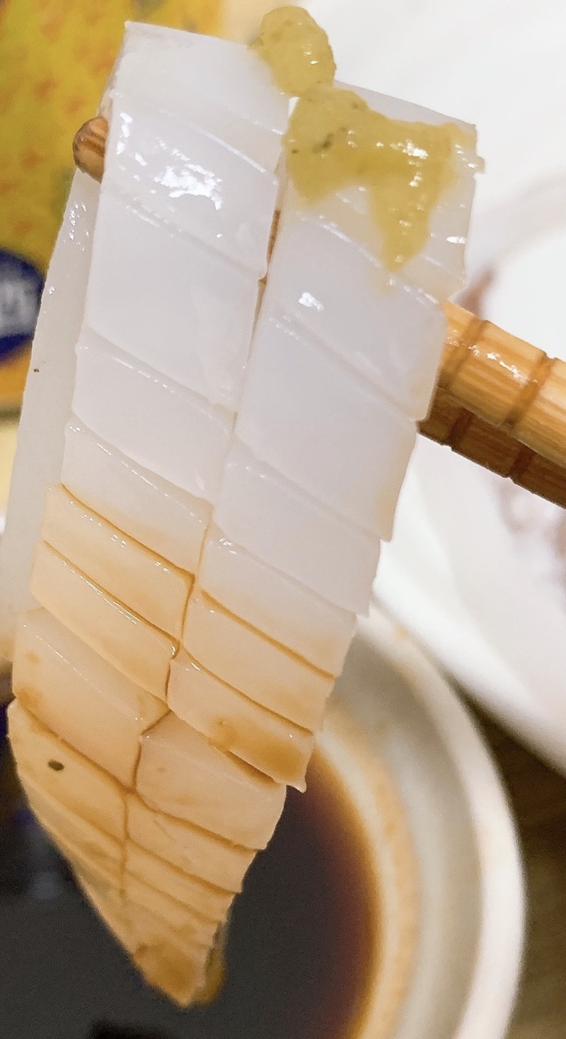 イカメタル釣行