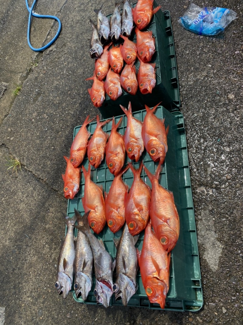 和歌山で深海釣り!