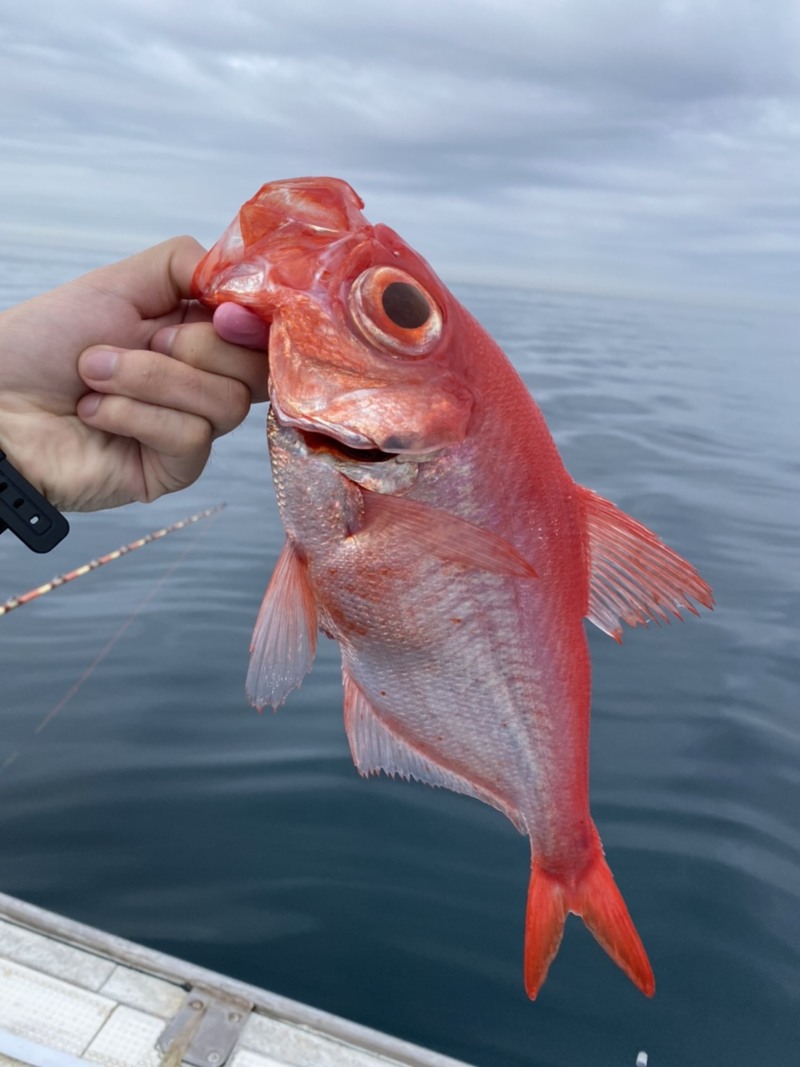 和歌山で深海釣り!