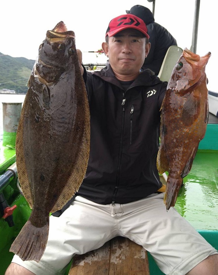 泉南落とし込み釣行