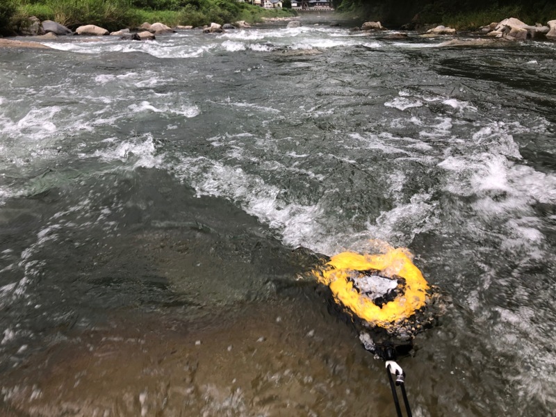 足羽川 天川 友釣り釣行