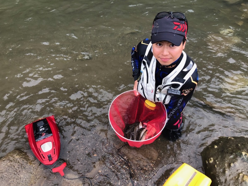 足羽川 天川 友釣り釣行