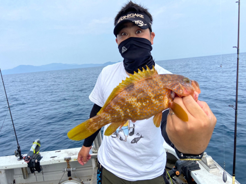 日本海ライトノマセ