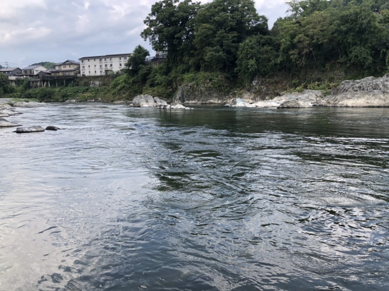 奈良県 吉野川 大鮎釣行