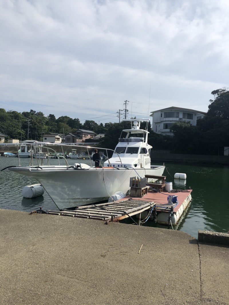 大判カツオがバンバン!!
