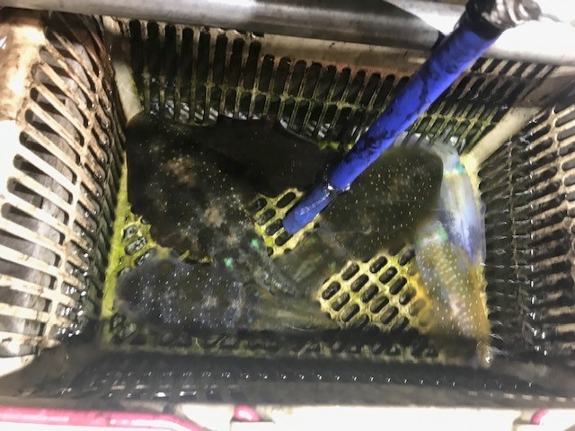 ナイトティップラン