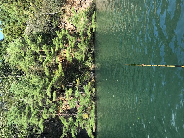 自然の中でへら釣りを満喫!