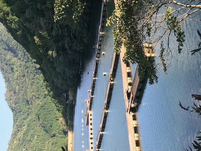 自然の中でへら釣りを満喫!