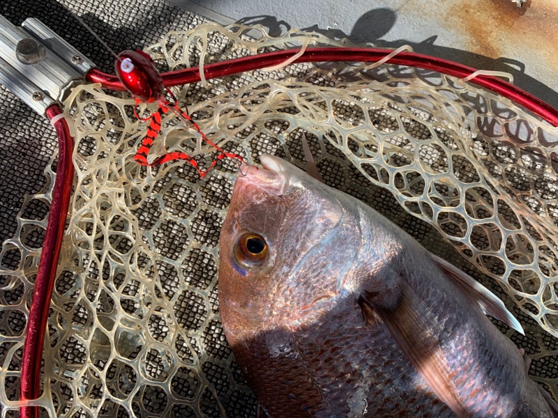 台風後タイラバ!
