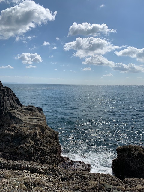 沼島ロックショア!