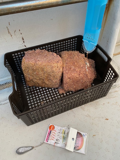 ファミリー船サビキ釣り