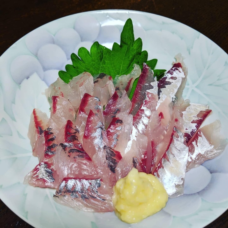 ファミリー船サビキ釣り