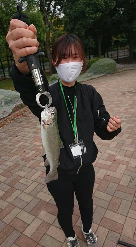 大阪府服部緑地の管理釣り場でニジマス釣果