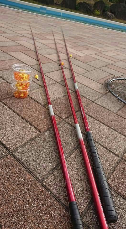 大阪府服部緑地の管理釣り場でニジマス釣果