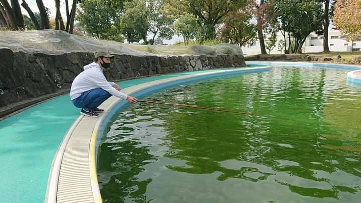 大阪府服部緑地の管理釣り場でニジマス釣果