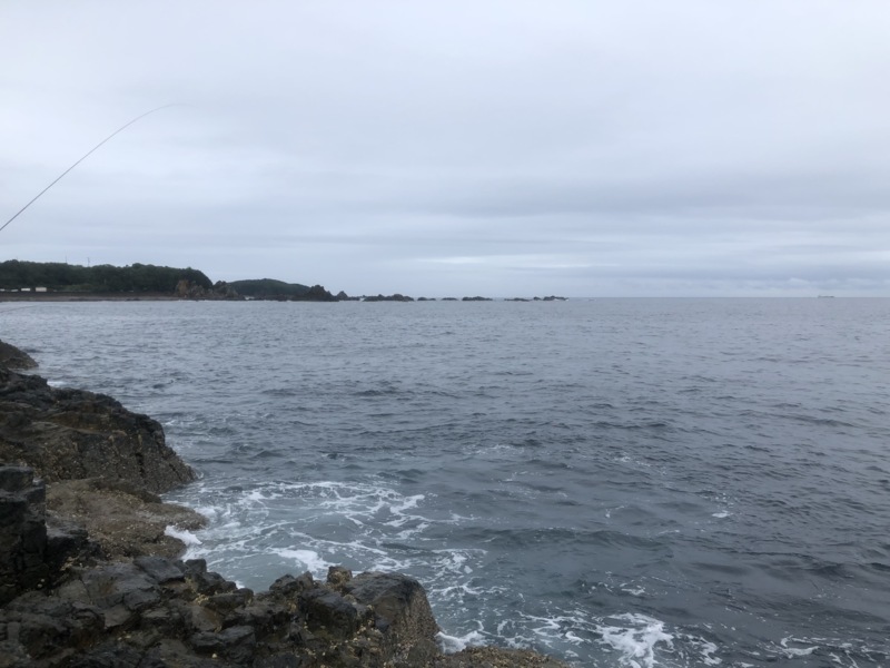 和歌山県すさみ見老津林渡船のフカセ釣りでグレ釣果