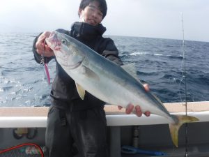 京都府舞鶴ドリームチェイサーの船釣りでヒラマサ・サワラ釣果