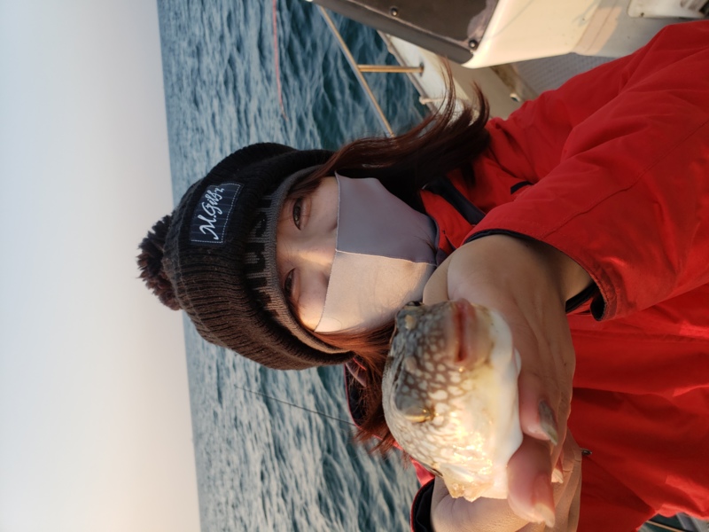 兵庫県姫路神孝丸の船釣りでショウサイフグ釣果