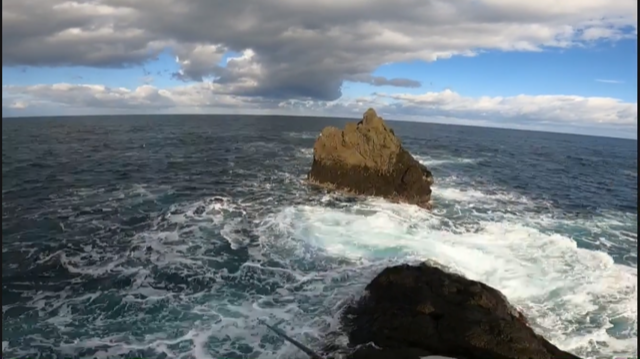 兵庫県但馬前田渡船のショアジギングでヒラマサ・サゴシ釣果