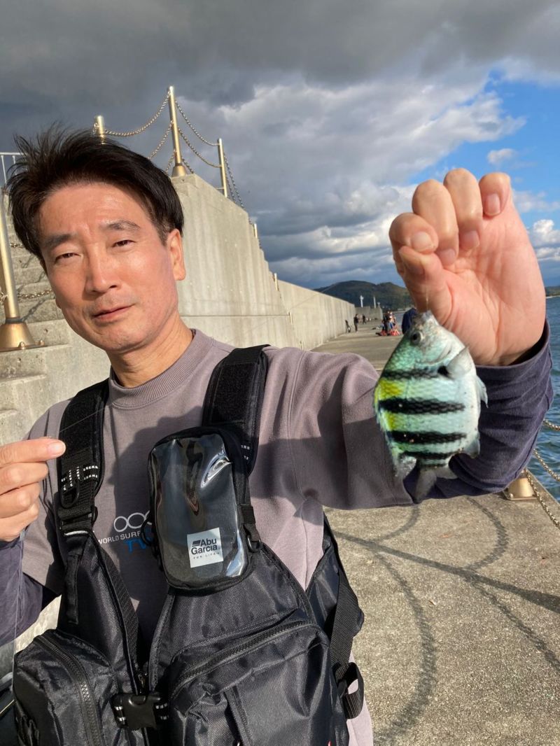 和歌山県のエサ釣りでアイゴ釣果