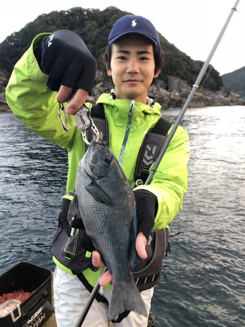 和歌山県すさみ町岩元渡船のフカセ釣りでグレ釣果