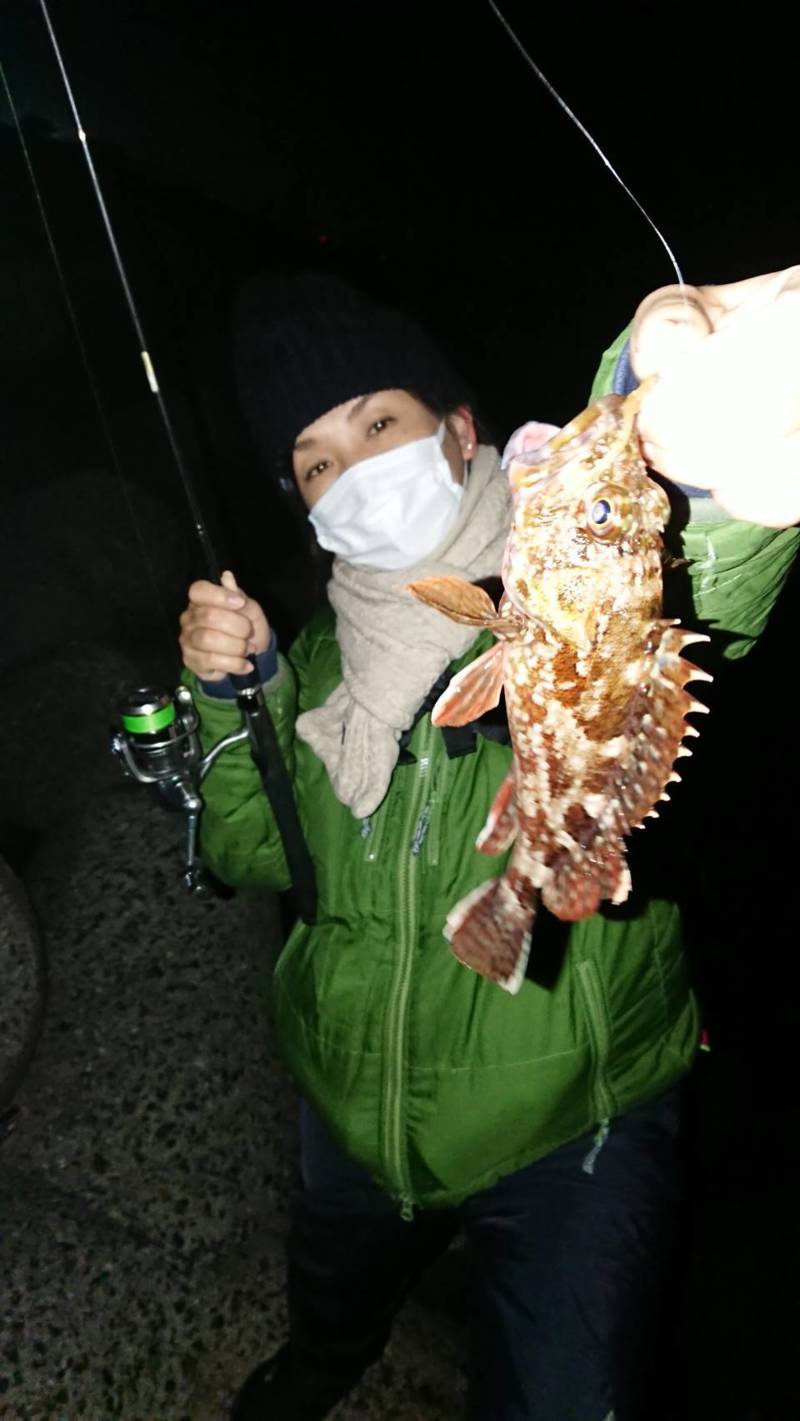 兵庫県淡路志筑付近のアジングでアジ釣果