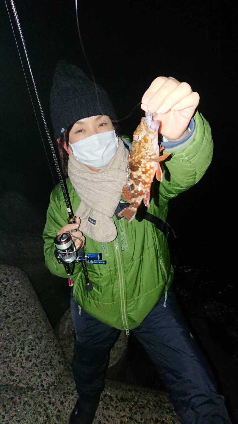 兵庫県淡路志筑付近のアジングでアジ釣果