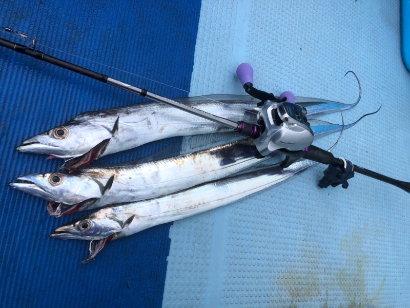 大阪府洲本沖湊丸の船釣りでタチウオ釣果