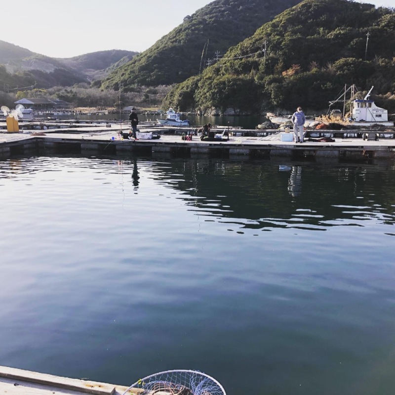 兵庫県海上釣り堀水宝の釣り堀でブリ・鯛・サーモン釣果
