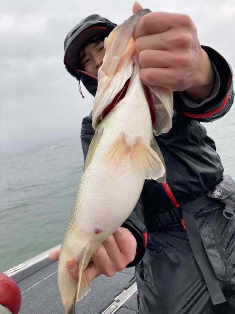 滋賀県琵琶湖のバスフィッシングでブラックバス釣果