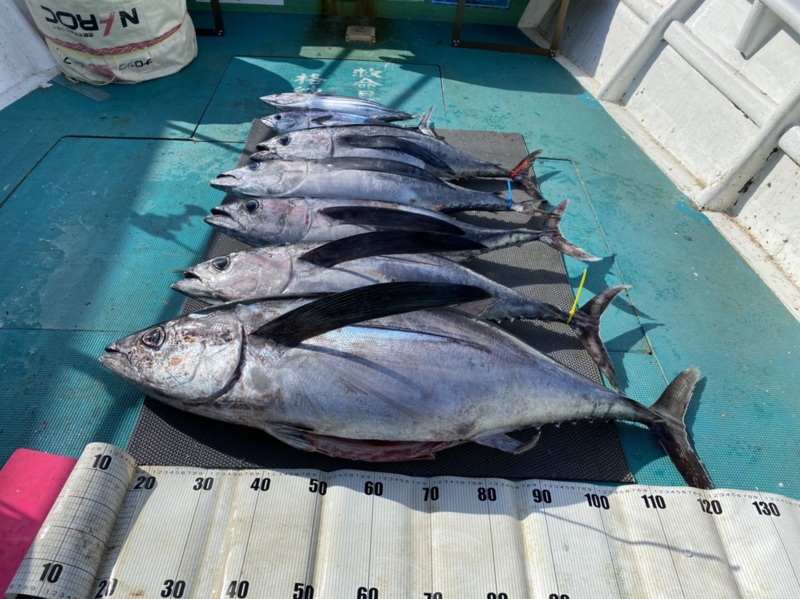 三重県志摩市かちかち丸のトンボジギングでビンチョウマグロ釣果