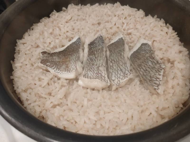 兵庫県水宝の釣り掘でマダイ・銀鮭・黒ソイ釣果